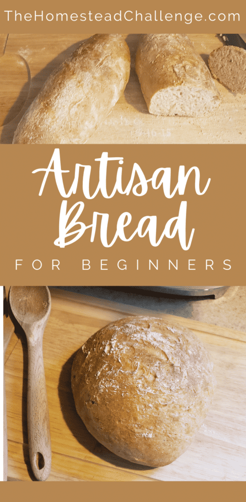 artisan bread for beginners