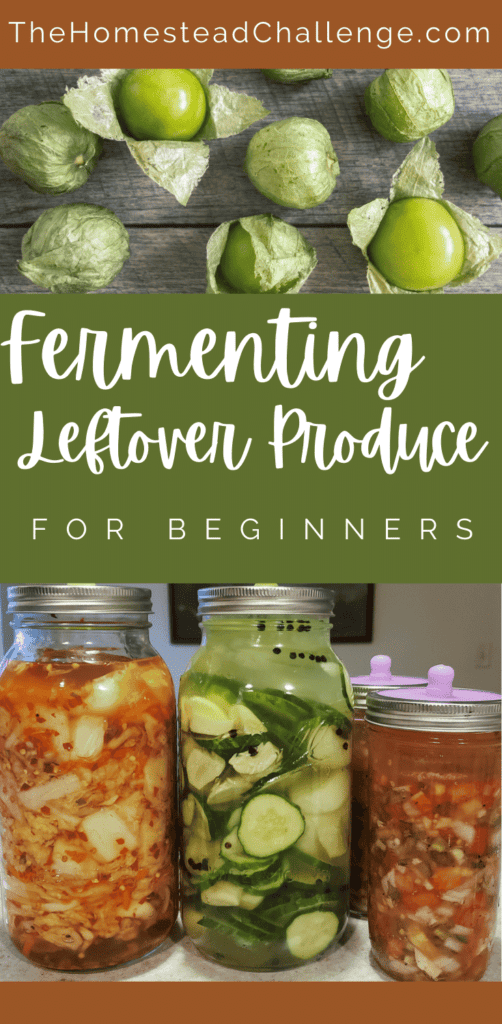 fermenting produce