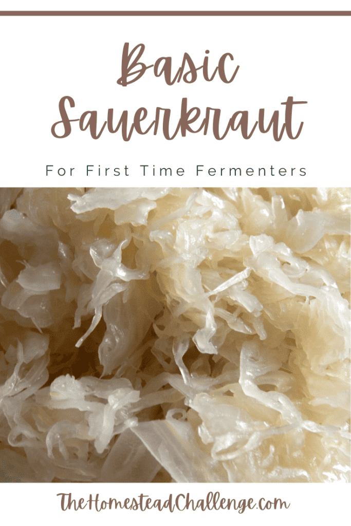 sauerkraut for beginners