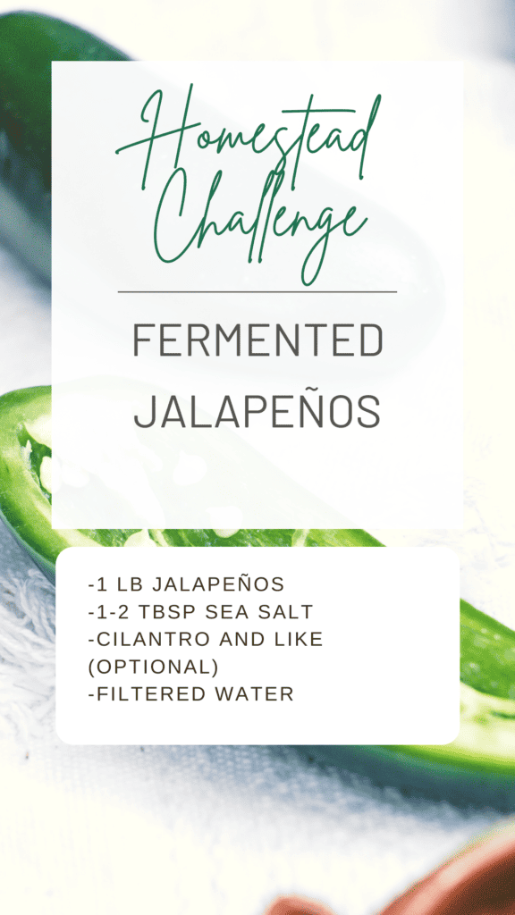 fermented jalapeno condiments