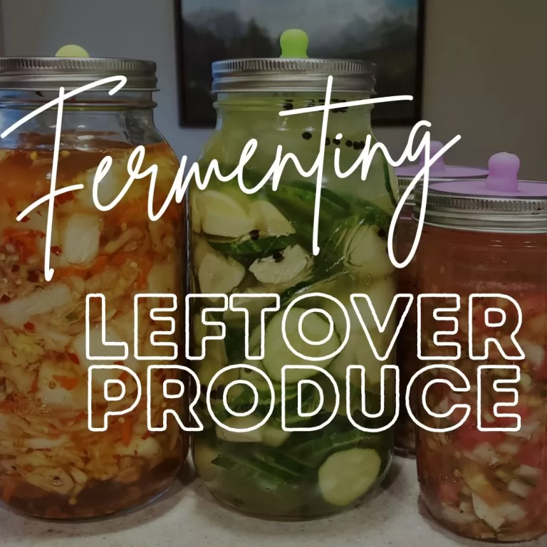 Fermented Kimchi, Salsa, and Pickles, Oh My!