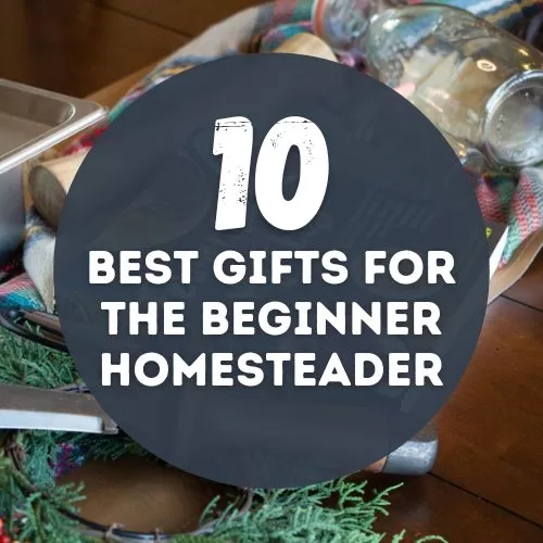 10 Best Gift Ideas for Beginner Homesteaders: Create a Homestead Starter Kit!
