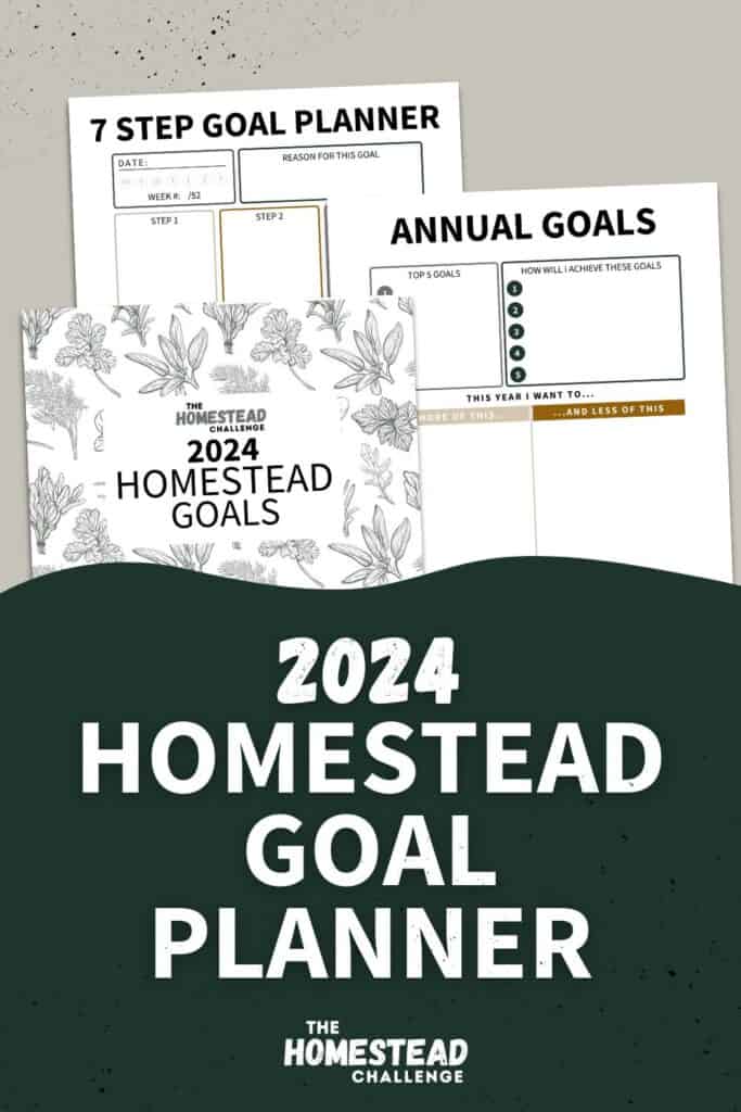 pin text: 2024 homestead goal planner