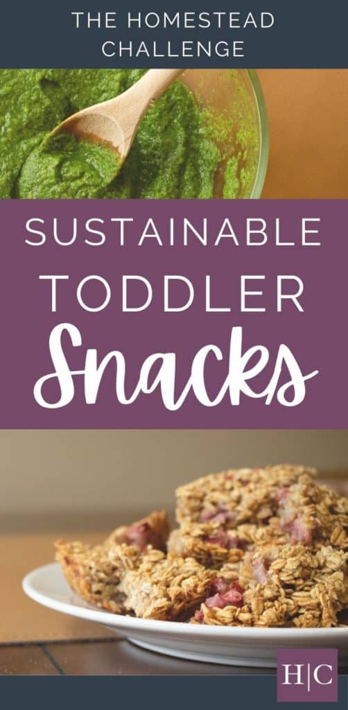 sustainable toddler snacks