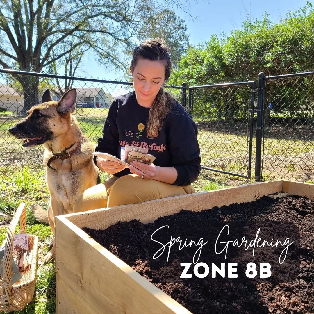 How to Garden in Early Spring: Zone 8B - The Homestead Challenge