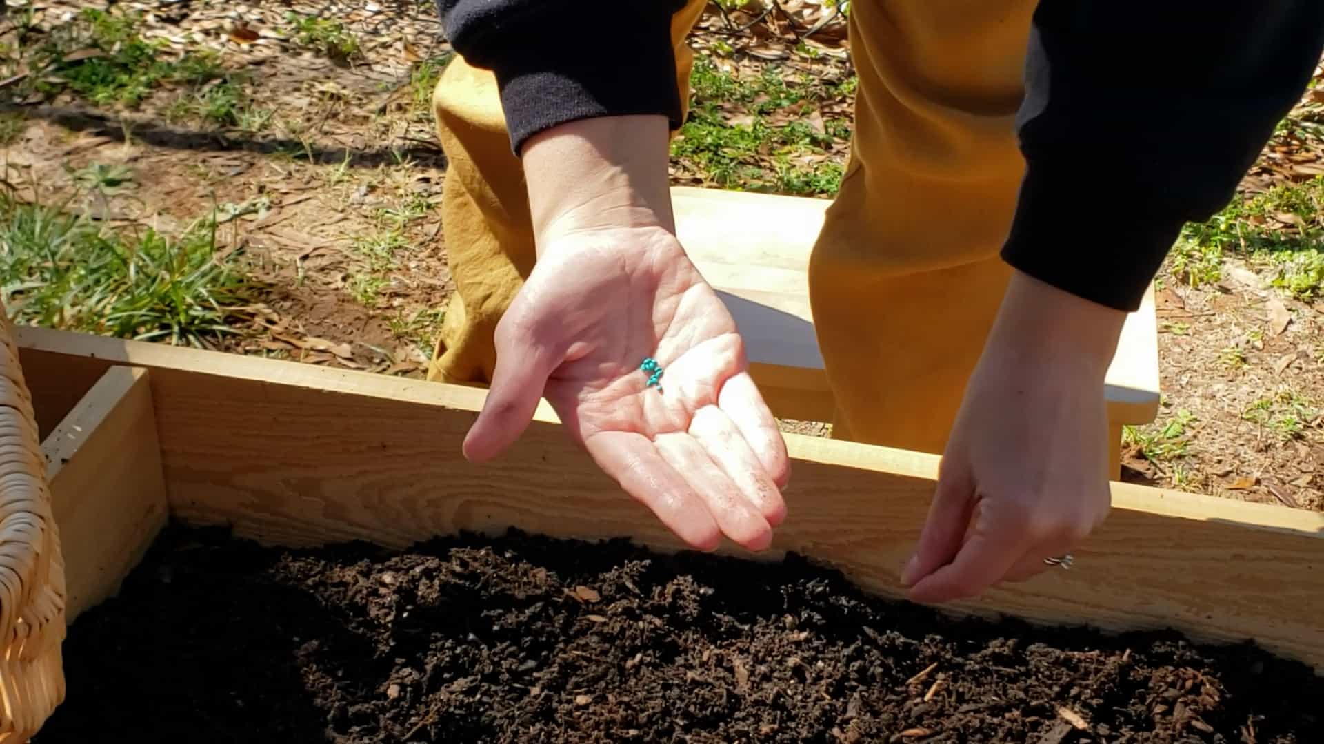 How to Garden in Early Spring: Zone 8B - The Homestead Challenge