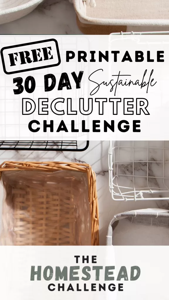 free 30 day declutter challenge printable