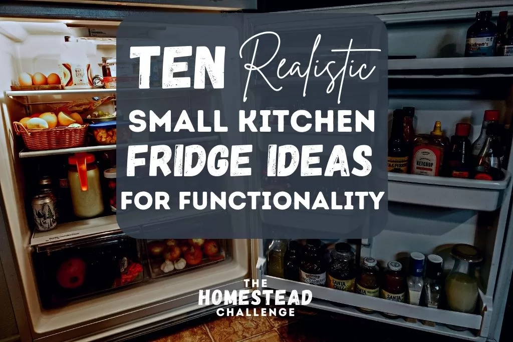 ten realistic small kitchen fridge ideas