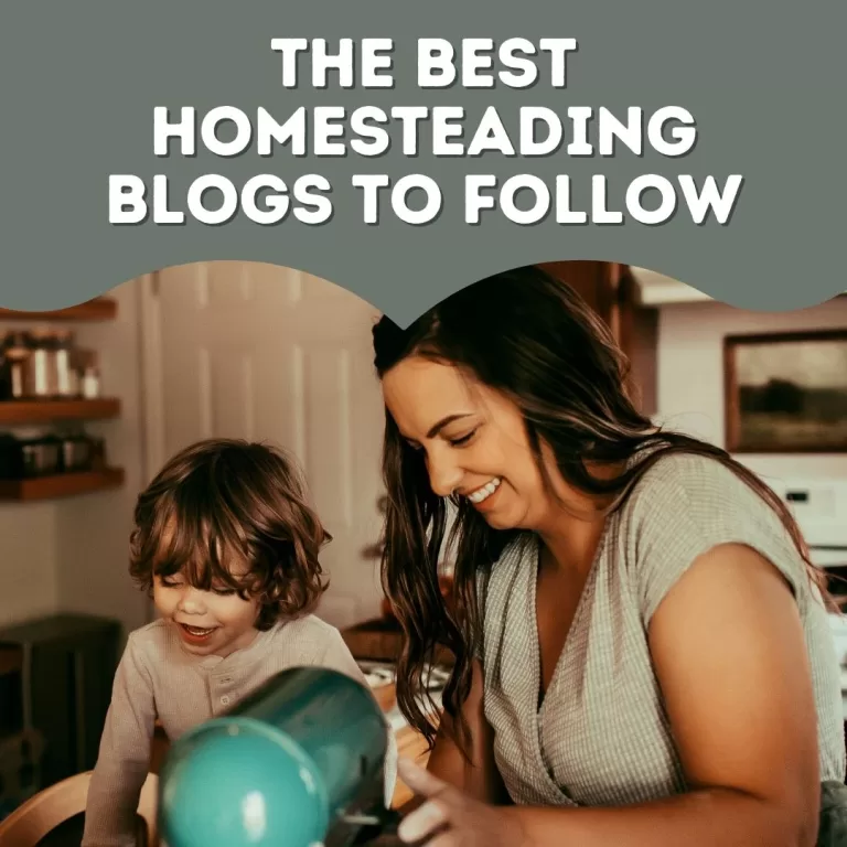 Best Beginner Homesteading Blogs to Follow in 2024