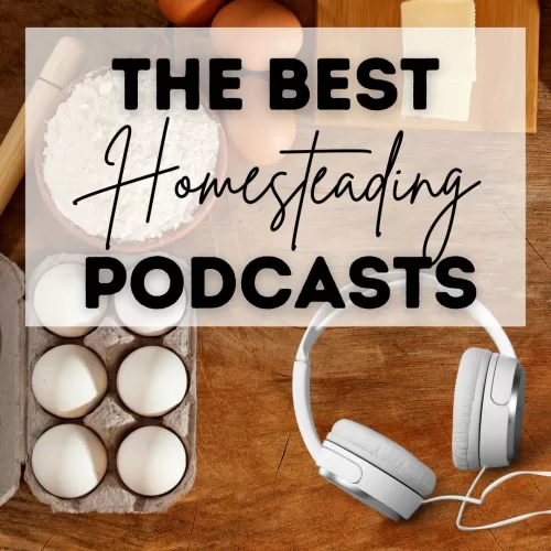 best homesteading podcasts