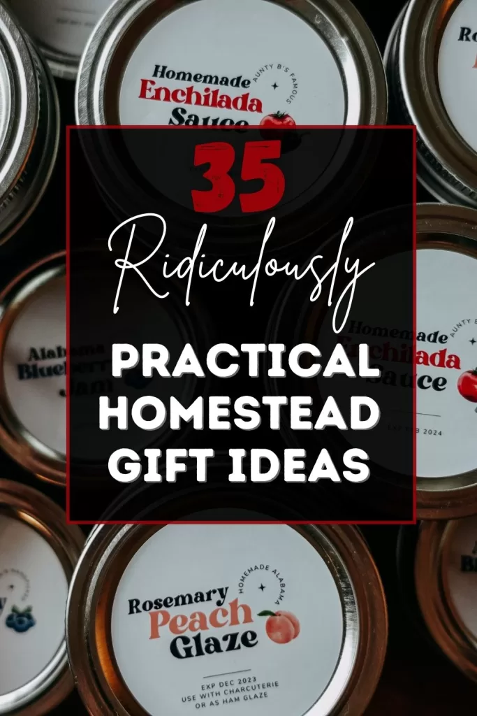practical homestead  gifts pin