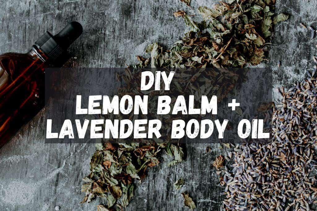 spilled lemon balm and lavender herbs