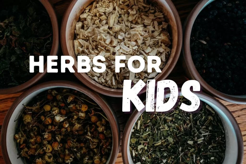 bowls of herbs