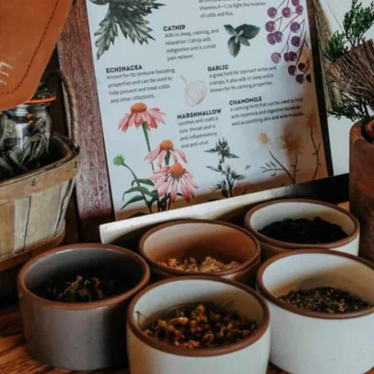 Safe and Effective Herbs for Kids (With Free Printable)