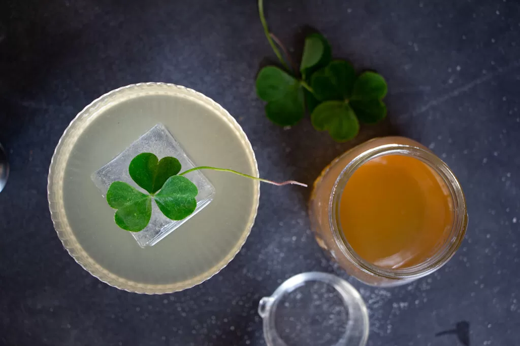 wood sorrel simple syrup and gimlet
