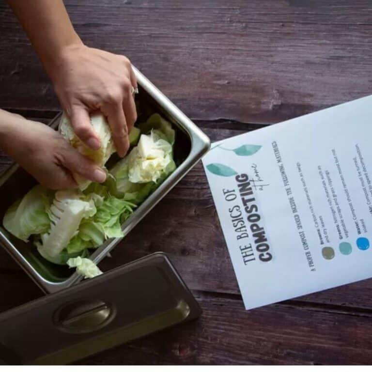 hands breaking apart cabbage with printable compost list laying on table