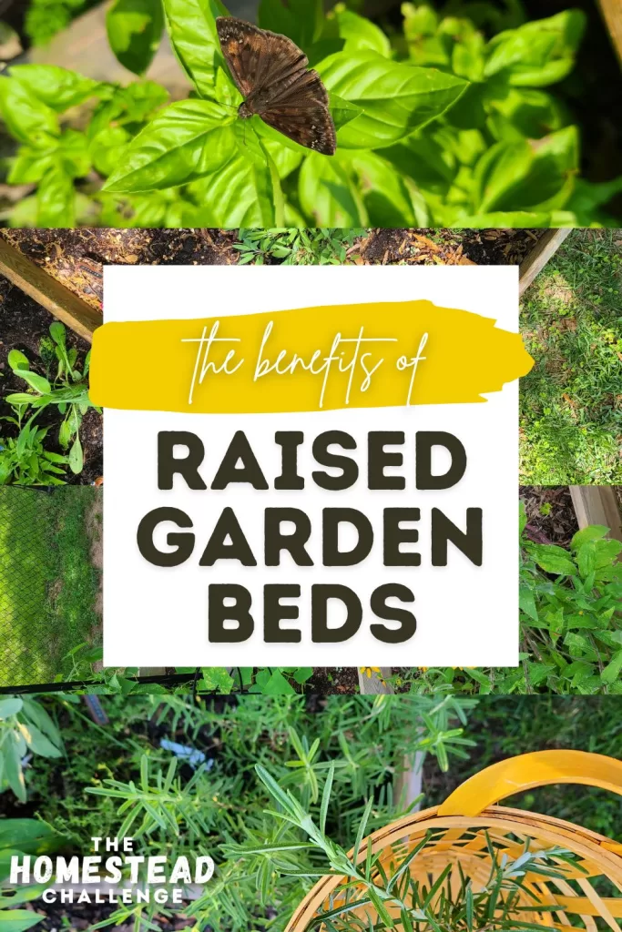 the benefits of raised garden bed gardening pin with four photos of garden beds