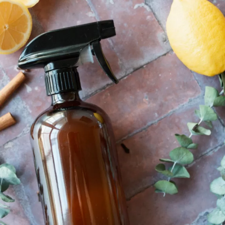 thieves cleaner feature with amber spray bottle, lemon, cinnamon, and eucalyptus