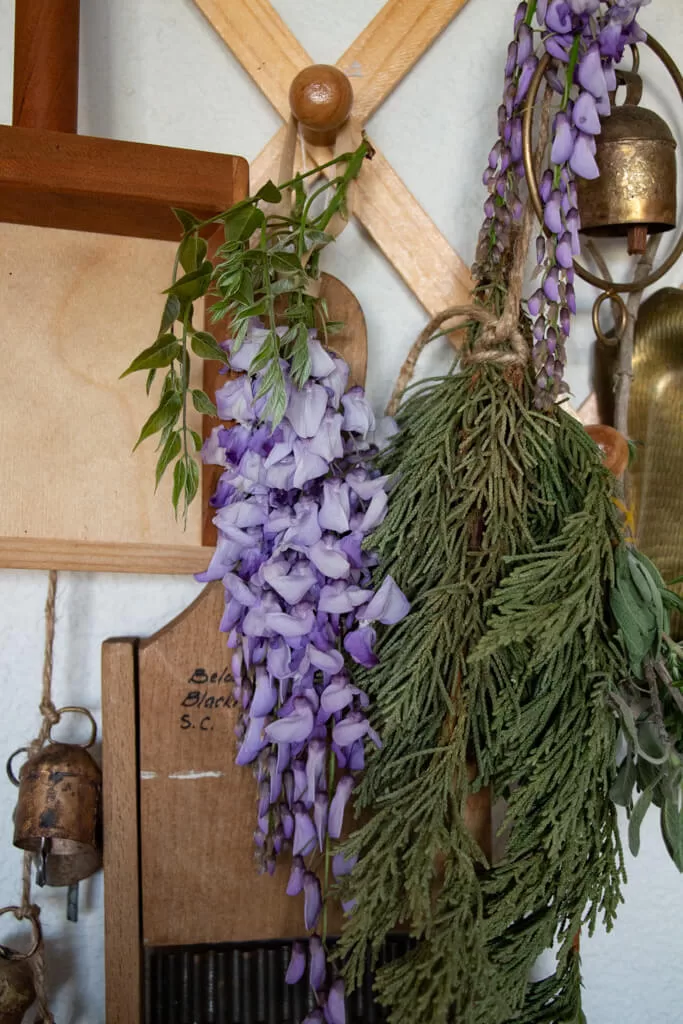 wilting wisteria flowers by hanging