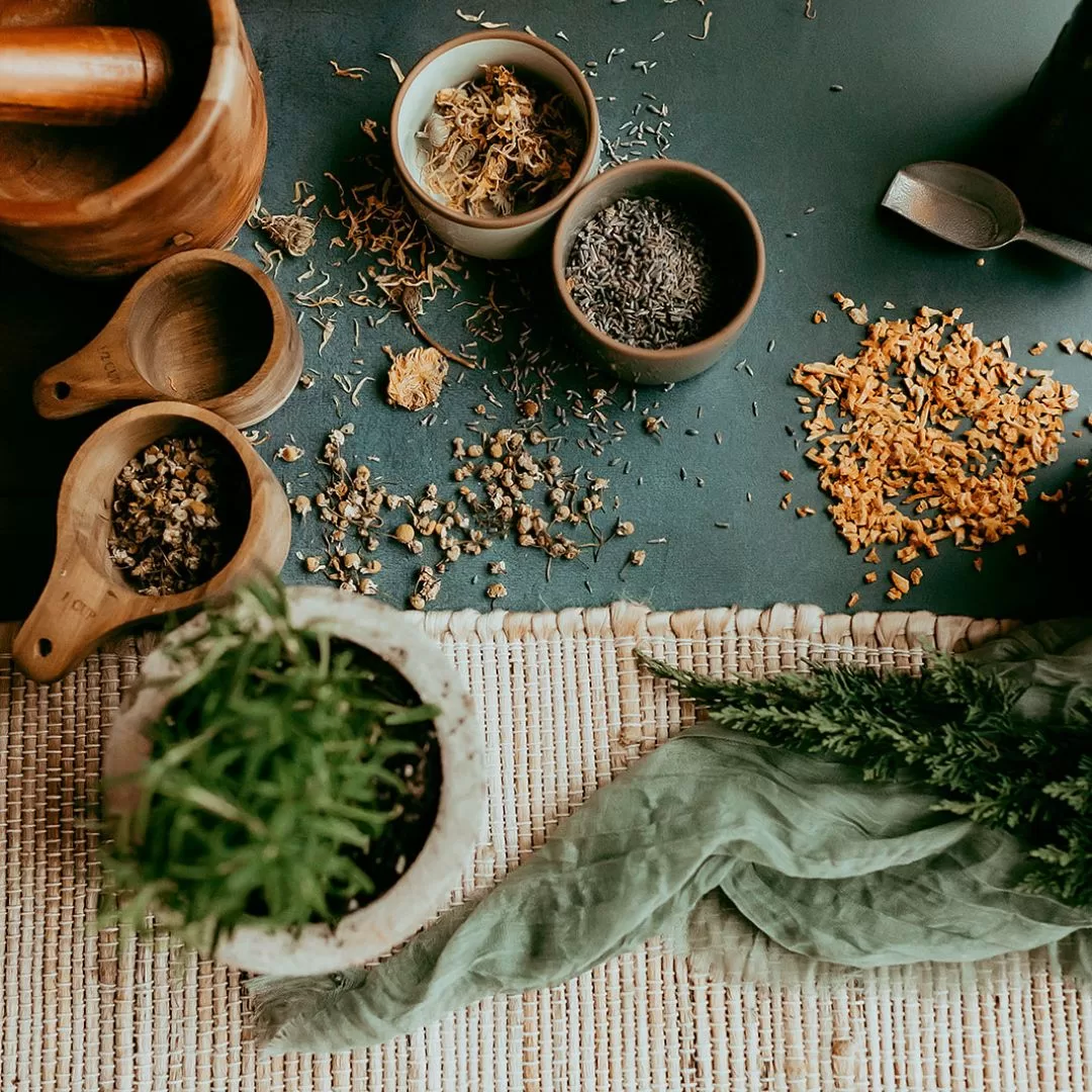 Herb Business Ideas: Turn Your Passion for Herbs into Profit