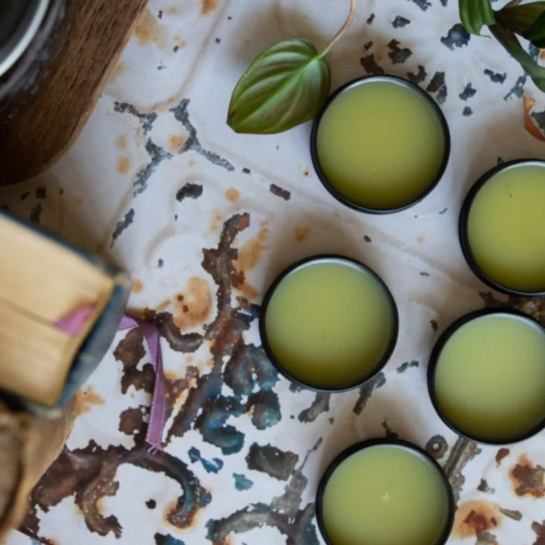 DIY Herbal Infused Lip Balm Recipe (Without Beeswax)