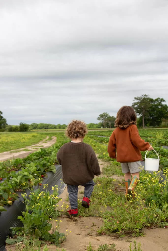 two little boys running in a strawberry field with a cloudy sky
