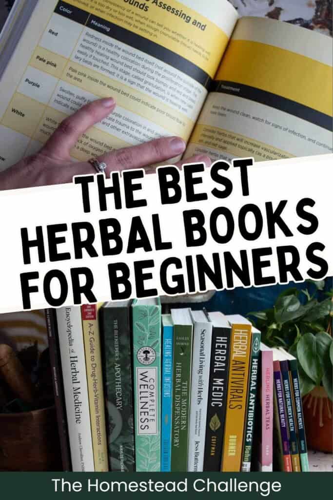 books about herbalism pinterest pin with stack of all 15 books