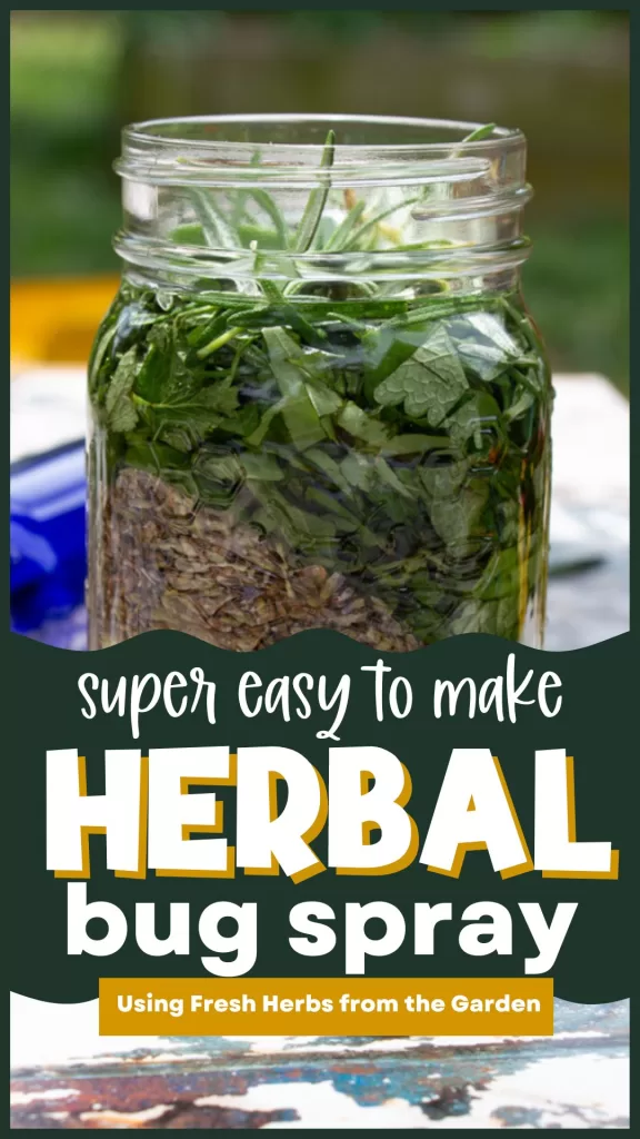 herbal bug spray pinterest pin- mason jar of herbs with text that reads: super easy to make herbal bug spray with fresh herbs from the garden