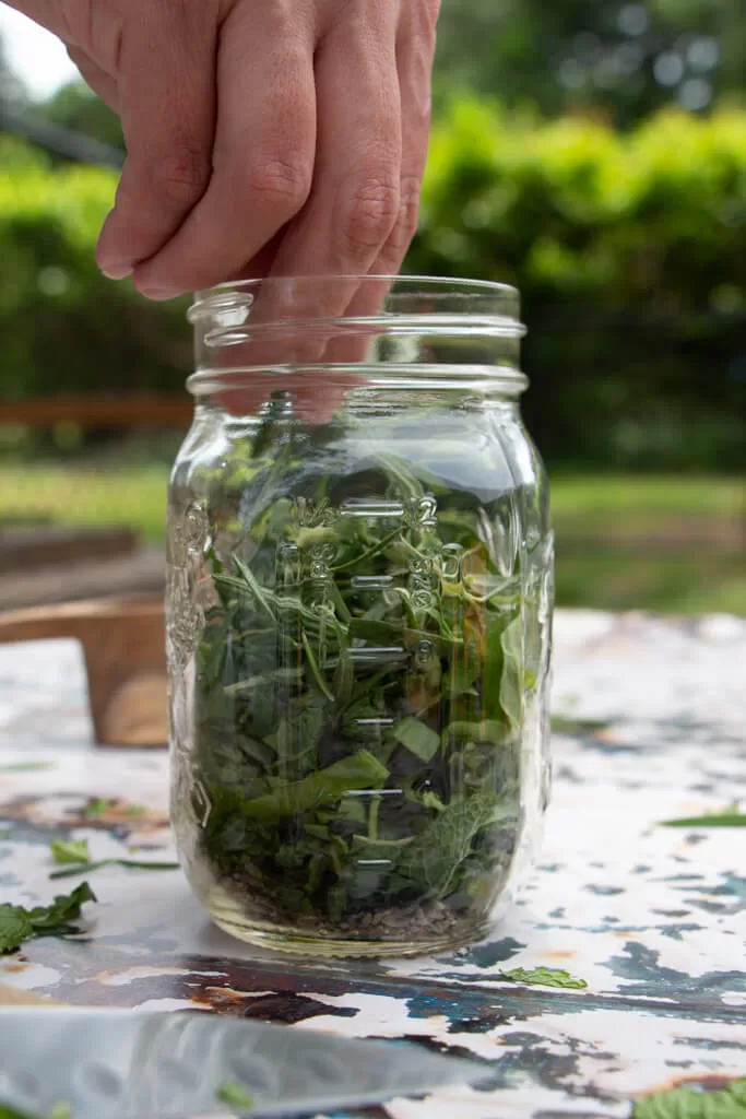 fingers placing putting herbs in mason jar
