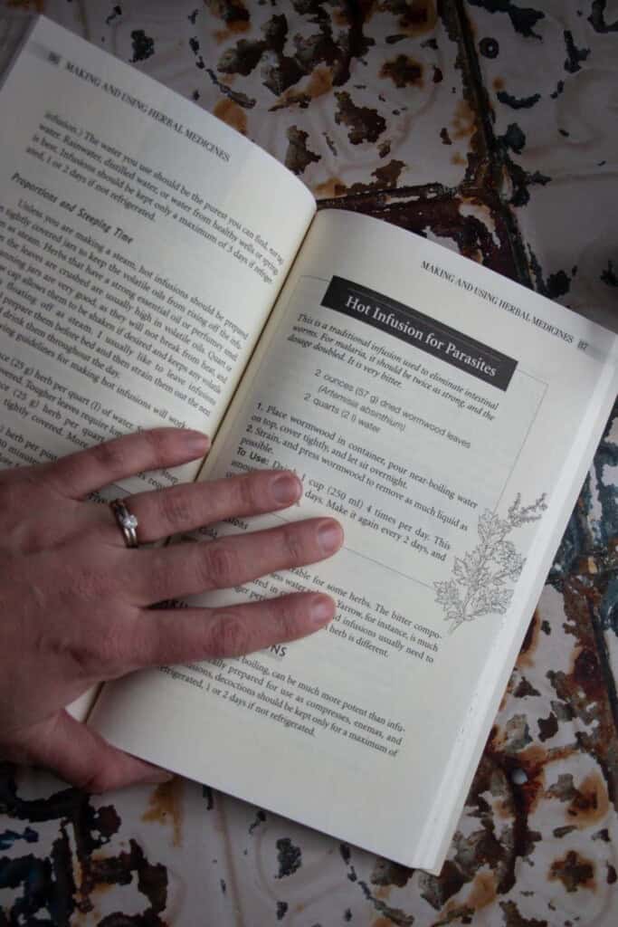 herbal antibiotics interior