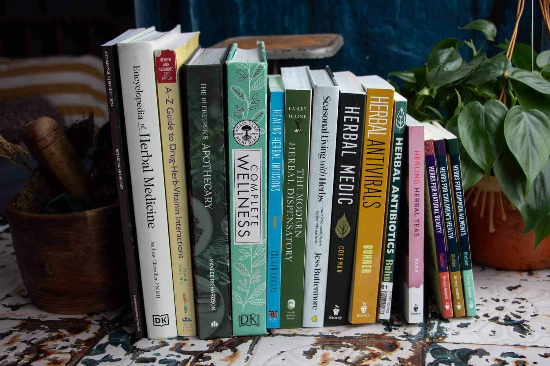 Several herbalism books lined up on a colorful table with a plant in the background