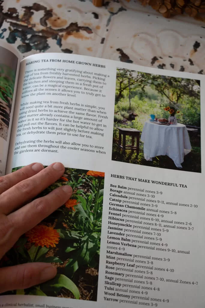 inside botanical anthology magazine- hand holding magazine open