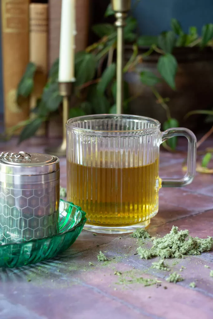 mugwort tea in clear glass mug with spilled green mugwort surrounding