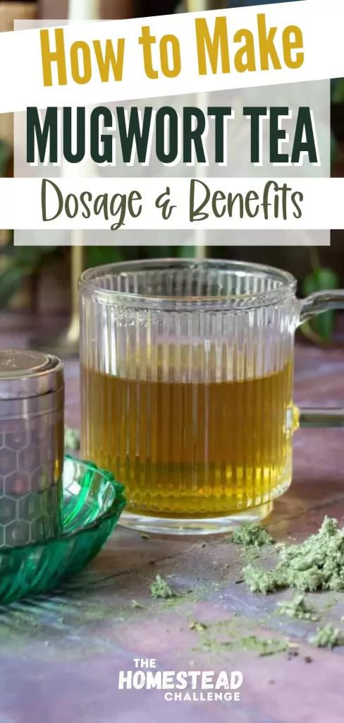 Text: How to make mugwort tea. dosage & benefits. Image: Cup on tea on brick backdrop