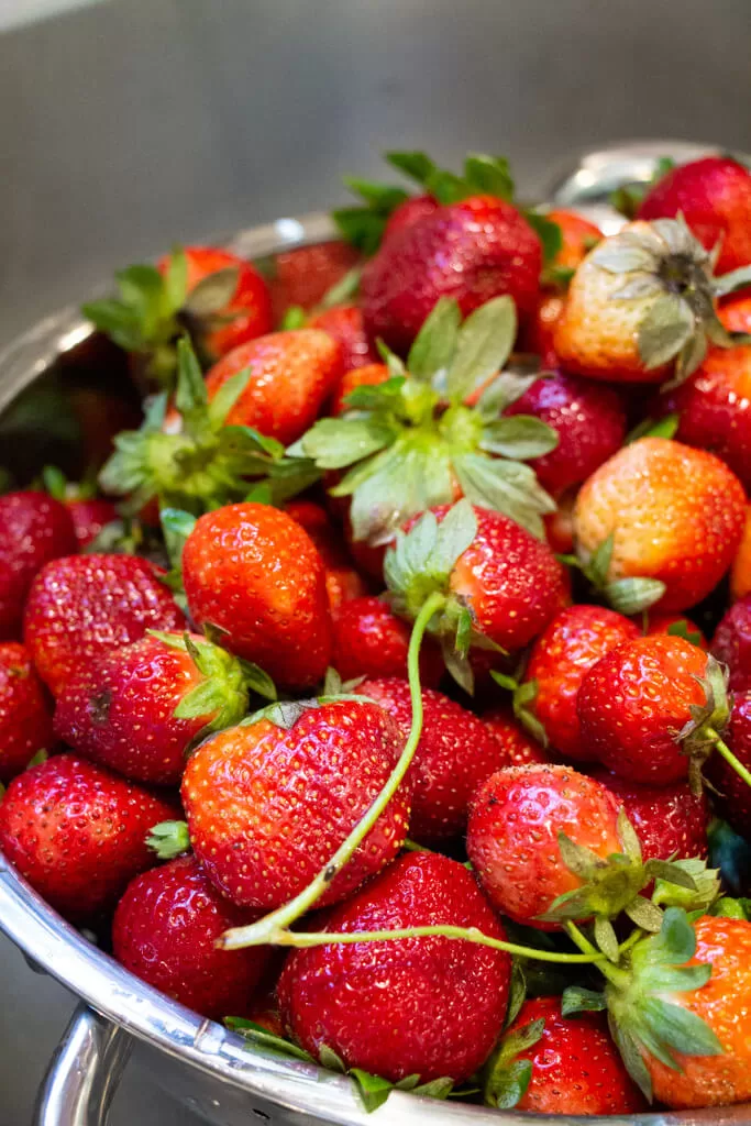 colander of strawberries ready to be washed in the sink
