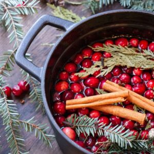 close up of back pot with bright red cranberies, evergreens, and cinnamon sticks on a wood table
