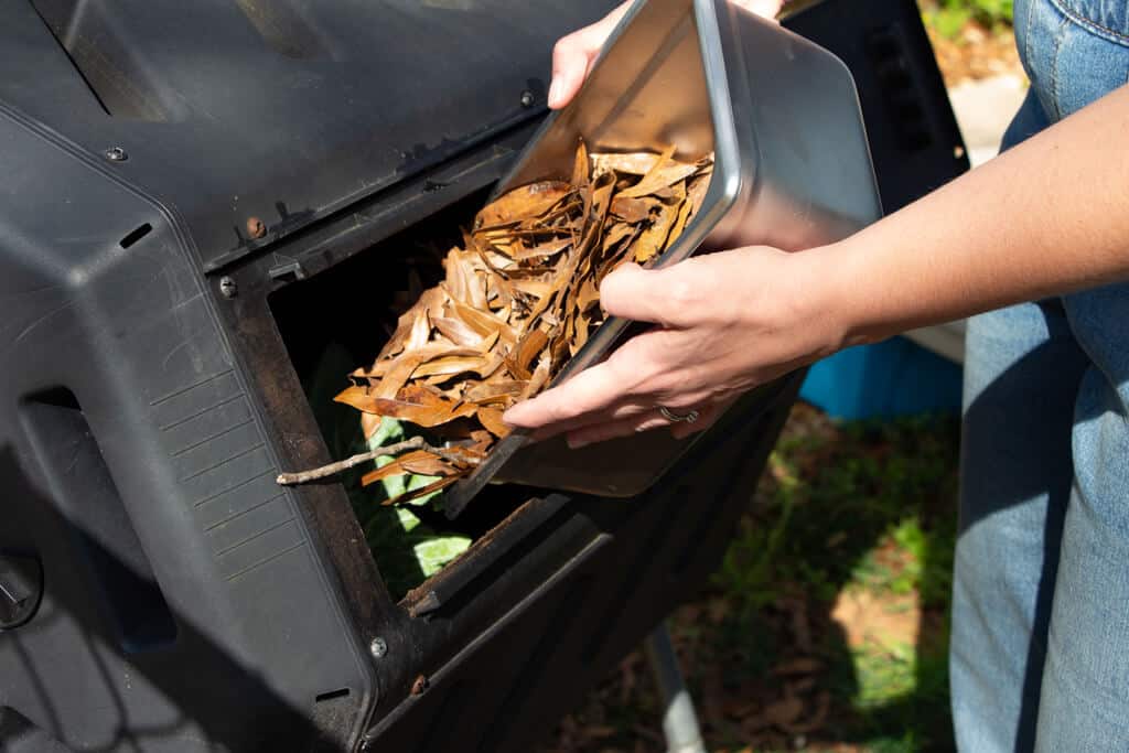 adding leaves to black compost tumbler