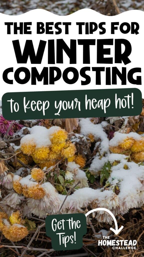 Text: the best tips for winter composting to keep your heap hot