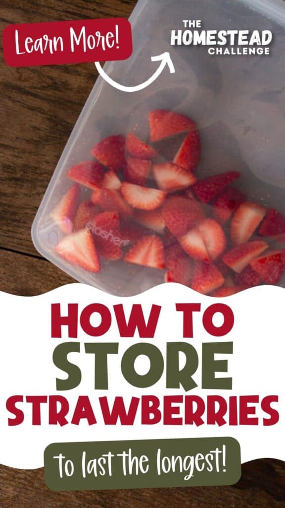 pinterest pin: text: how to store strawberries to last the longest