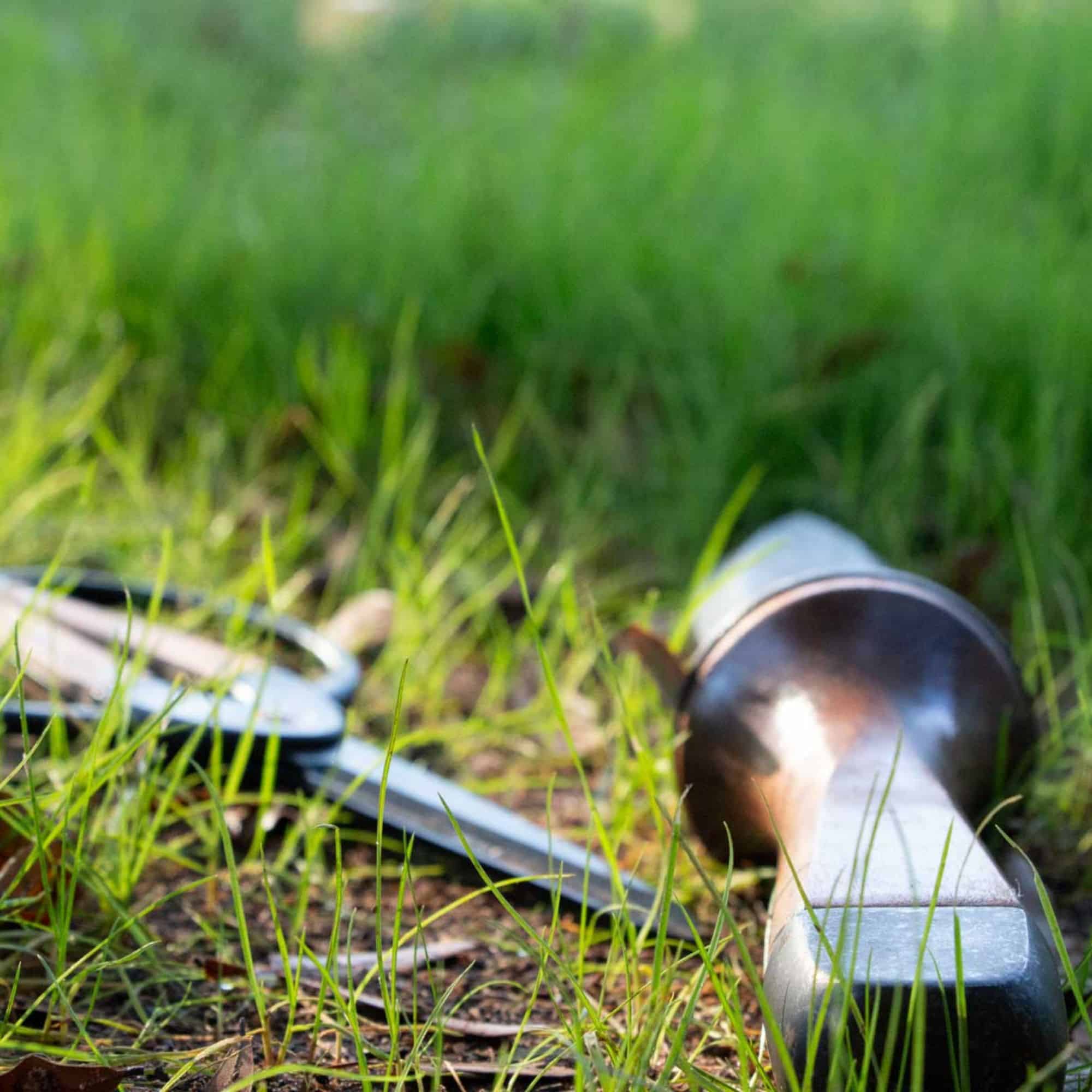 garden tools laying in the grass