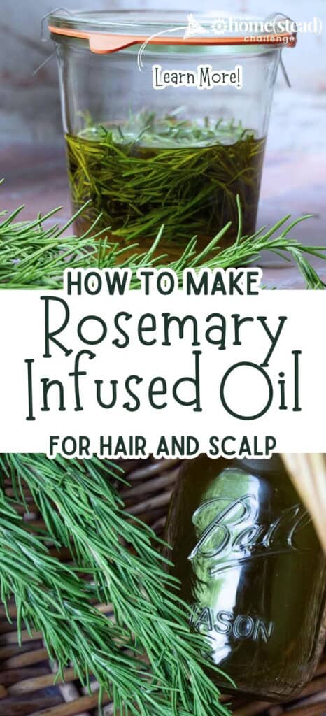 A glass jar containing rosemary-infused oil sits among fresh rosemary sprigs, highlighting its use for scalp health and hair growth.