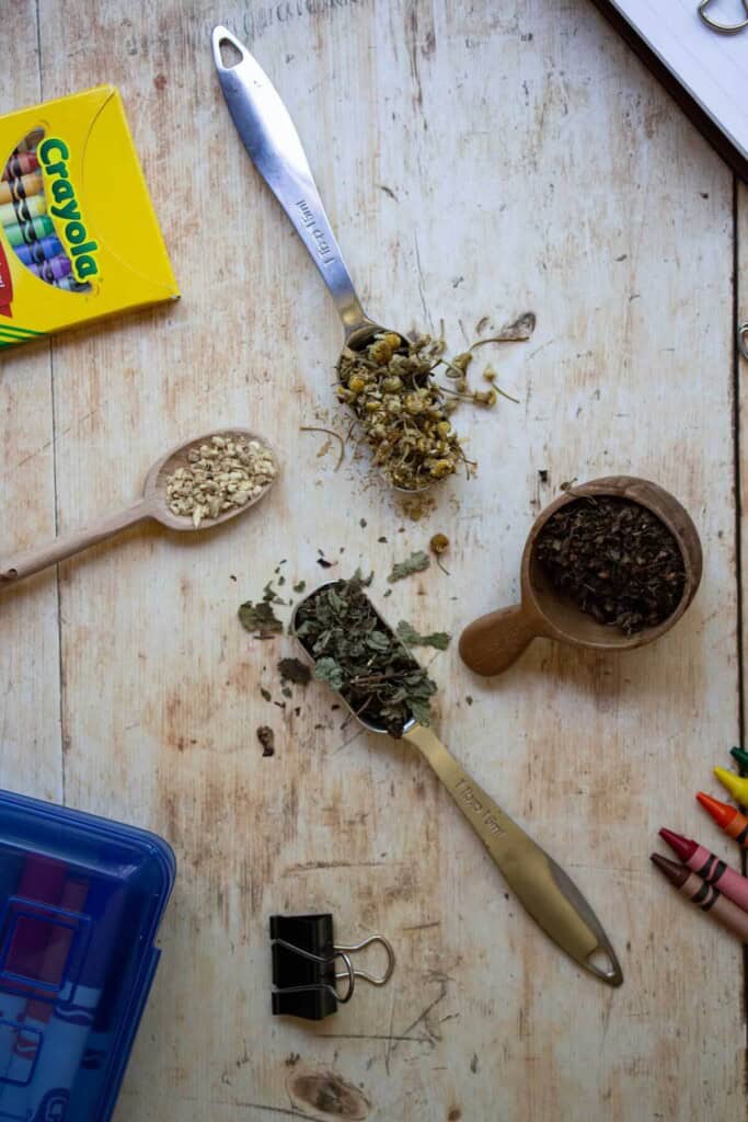 ingredients measured: tulsi, lemon balm, chamomile, and ginger on table by school supplies