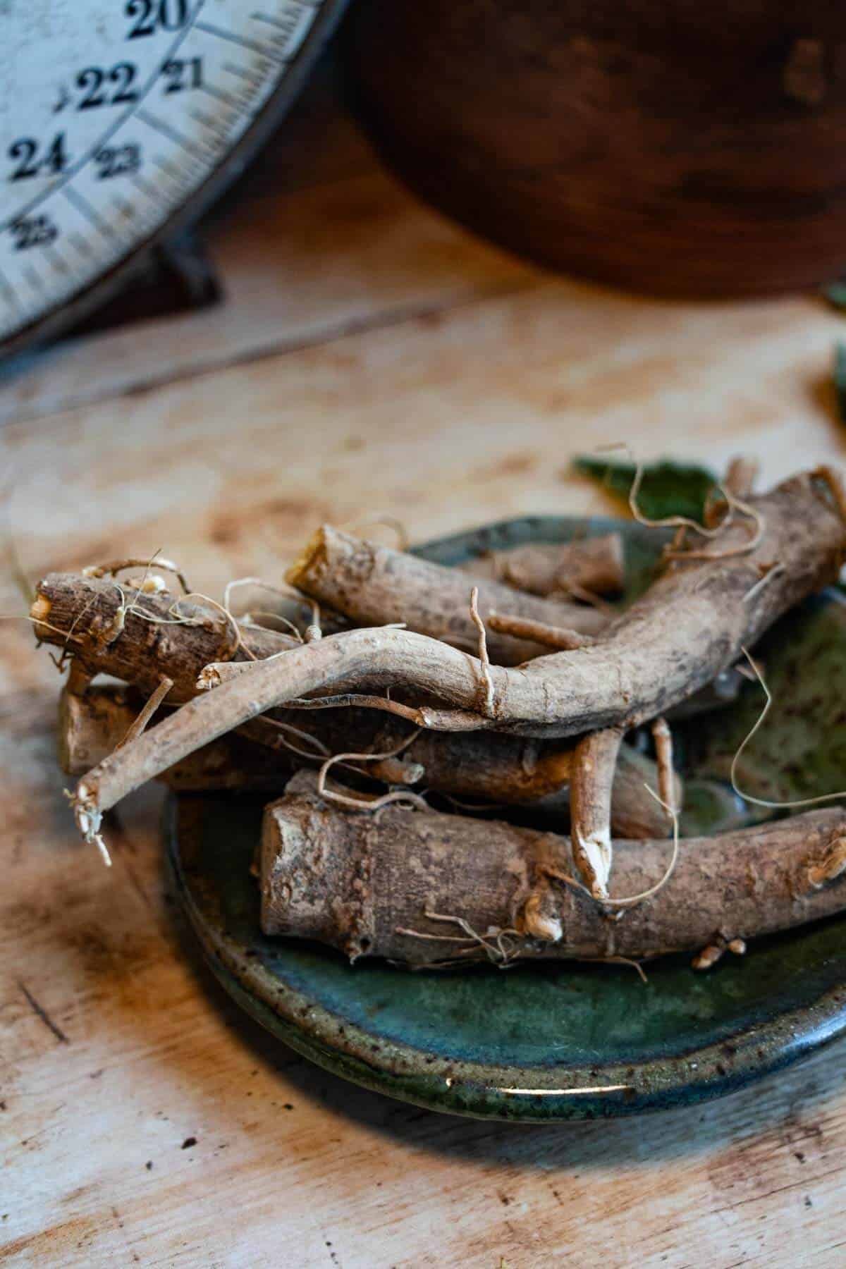 close up of ashwagandha root on a green plate