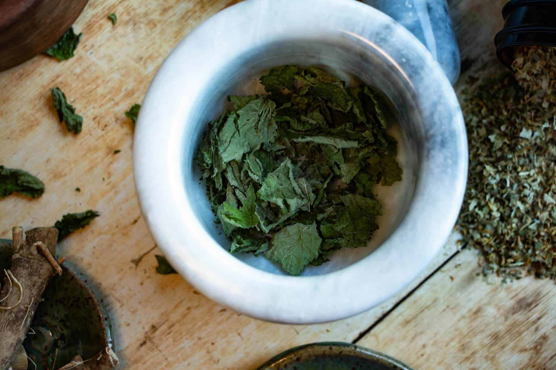 close up of lemon balm in a mortar and pestle