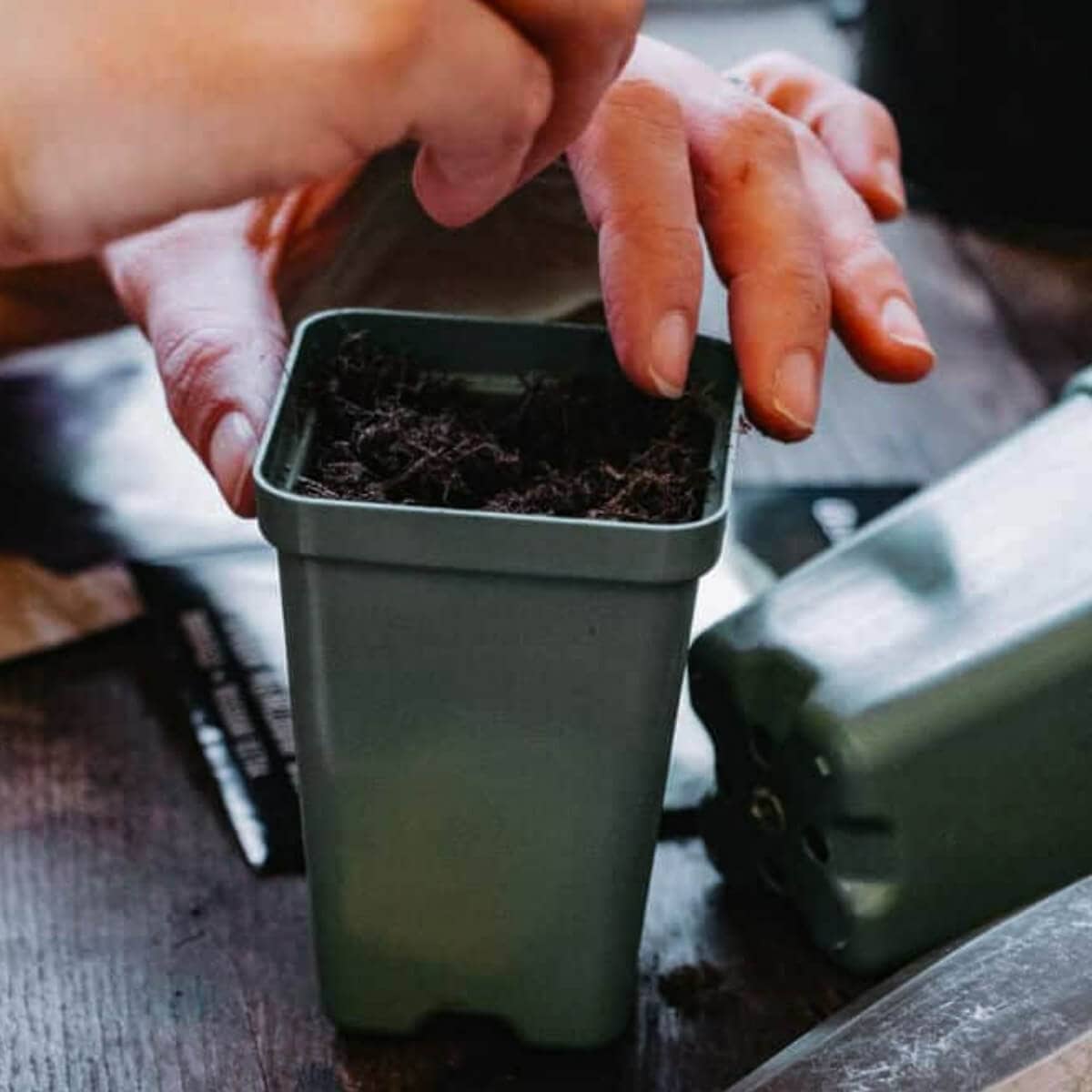 hand putting seeds into small pot