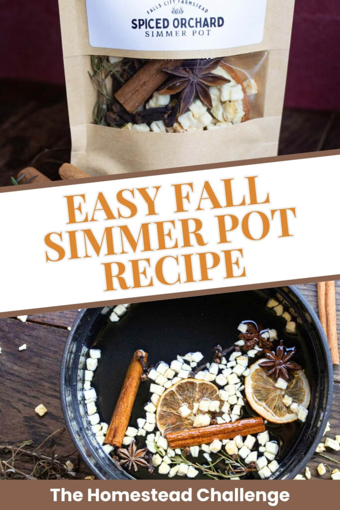 easy fall simmer pot pinterest pin